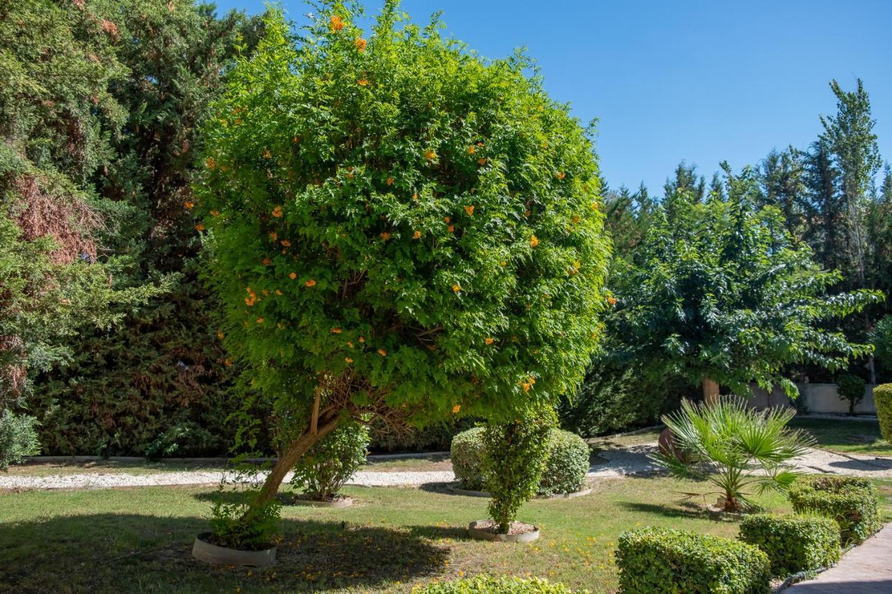Stylish 2 Bedroom Apartment In Pegia Peyia Bagian luar foto